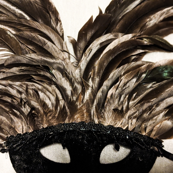 Black Velvet & Chocolate Brown Mask with Feathers - Picture 4 of 6
